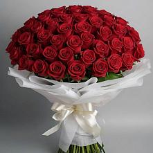 Букет 101 Красная роза Блэк Мэджик в Покровском Ростовской области