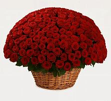 Премиум букет из: Розы #REPLACE_PRED# Покровском Ростовской области